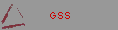 GSS