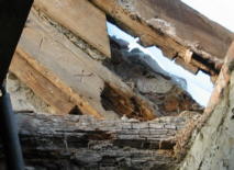 Holzschädlinge am Deckenbalken