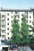 Waldstraße 44, Berlin-Moabit